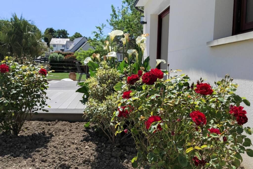 ✪ Sur La Route Des Plages - Maison Pour 8 Pers. ✪ โอเร ภายนอก รูปภาพ